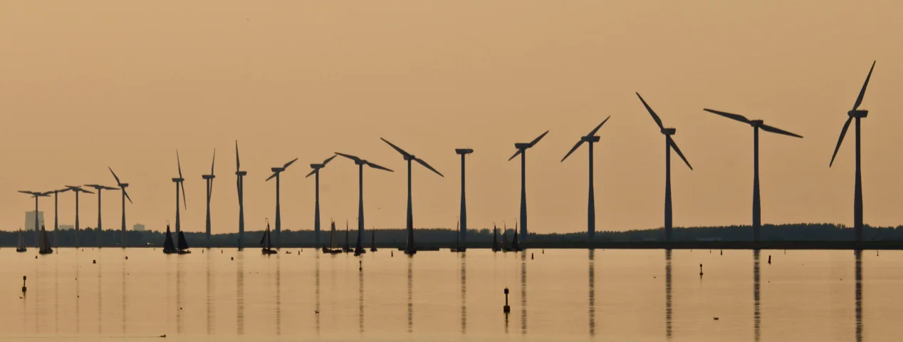 Why Experiential Learning Matters for College Admissions